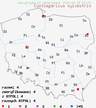 znaleziska Cystoagaricus sylvestris na terenie Polski