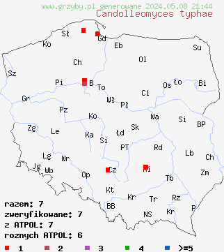 znaleziska Candolleomyces typhae na terenie Polski