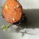 Scutellinia minor