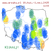 aktualny stan występowania grzybów jadalnych w Polsce